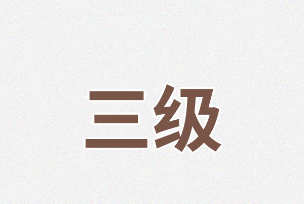 三级Logo